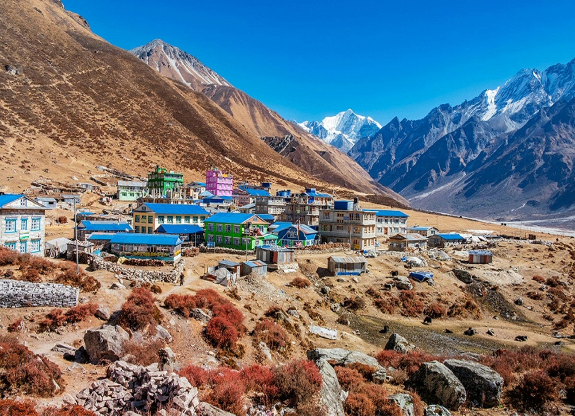 A scenic mountain valley in Langtang Region