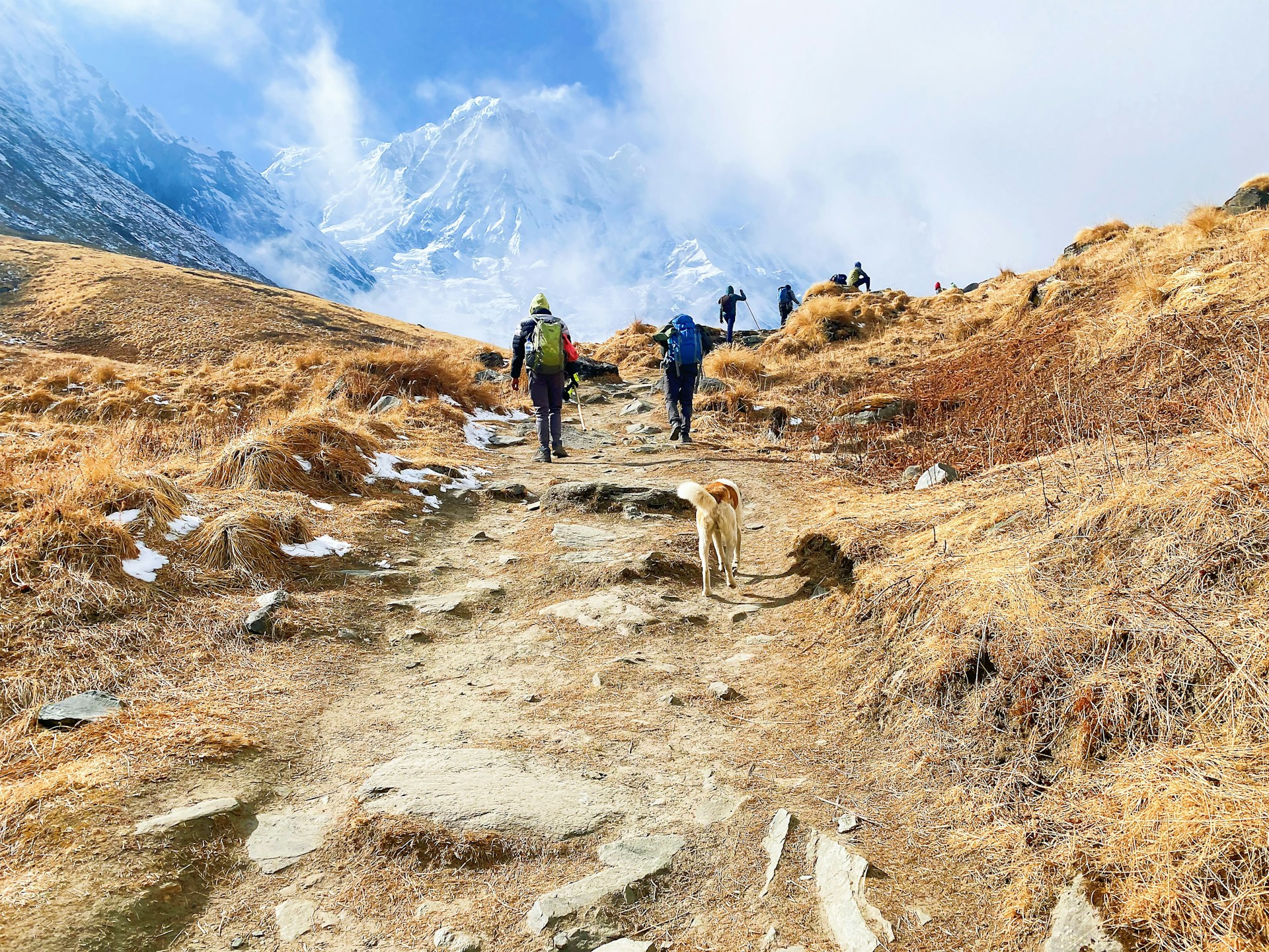 Trekkers in a scenic trail in landscapes of Himalayas